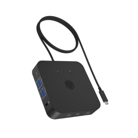Nb acc icy box docking dk4090-c 12in1 usb-c