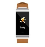 Pulsera cuantificadora denver bfh-250 brown bt pantalla 2.4cm color frecuencia cardiaca notificaciones bat 90mah ip68