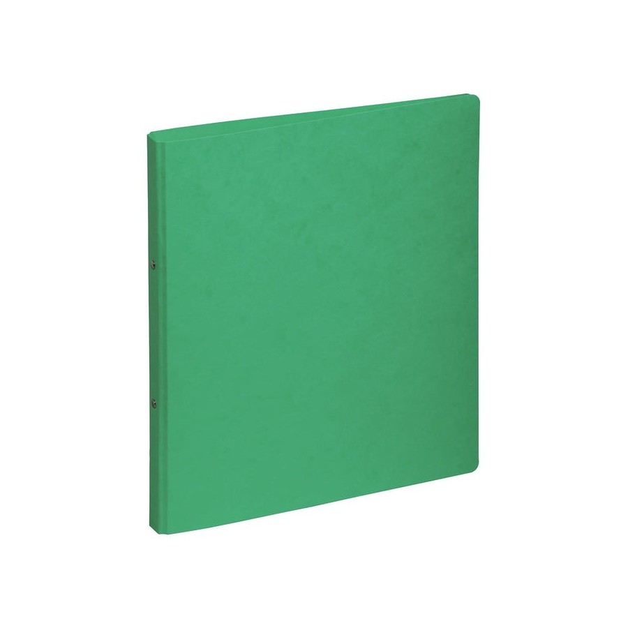 Pagna 44096-03 carpeta de cartón a4 verde