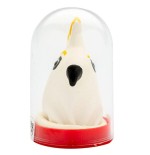 Condomerie - preservativo decorativo pintado a mano loro blanco