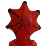 Condomerie - preservativo decorativo pintado a mano estrella de mar