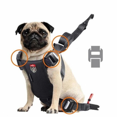 Zolux szelki para perro travel safe s czerwone