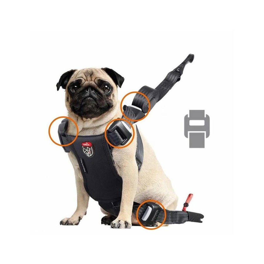 Zolux szelki para perro travel safe s czerwone