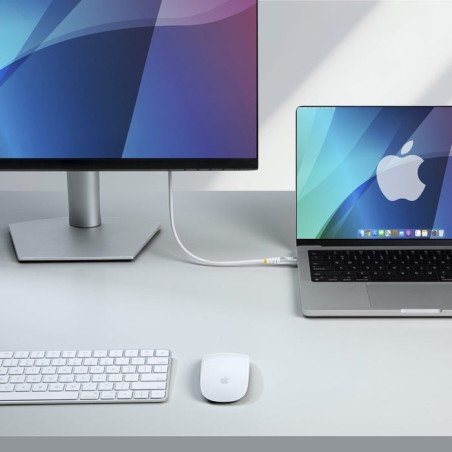 Cable usb4 50cm - usb-c cabl