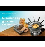 Cecotec elektrisches fun gourmetfondue (edelstahl, 1.000 watt) 8018