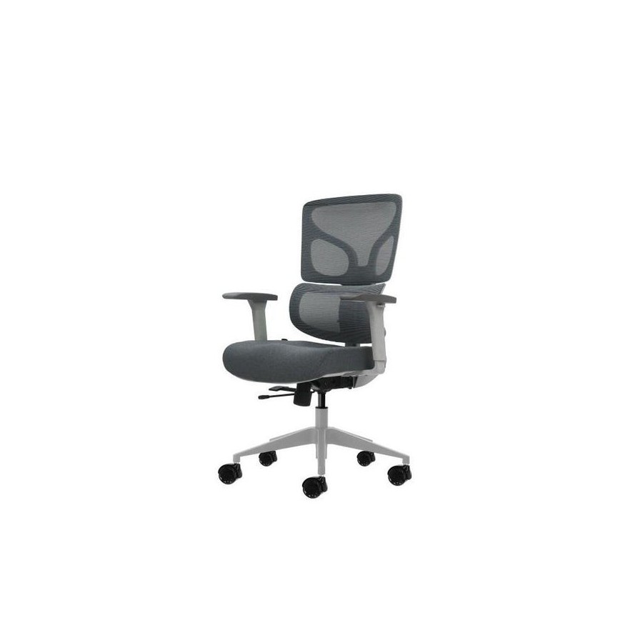 Oqonos cherg 015 silla de oficina ergonomica con respaldo y asiento de malla elastica, reposabrazos 4d, asiento