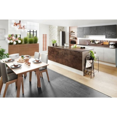 Rommelsbacher presión de vapor y olla múltiple md 1000 md 1000
