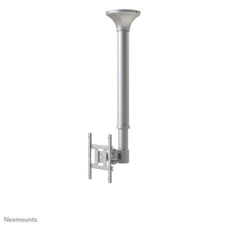 Newstar soporte de techo para tv