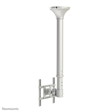 Newstar soporte de techo para tv