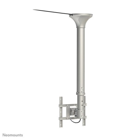Newstar soporte de techo para tv