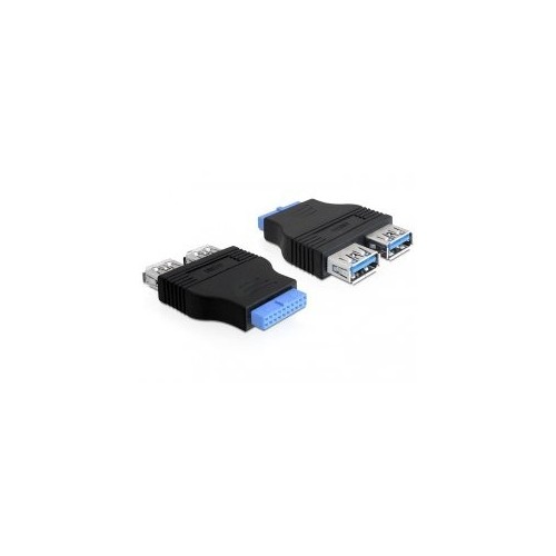 Delock conversor para placa a 2 puertos usb3.0
