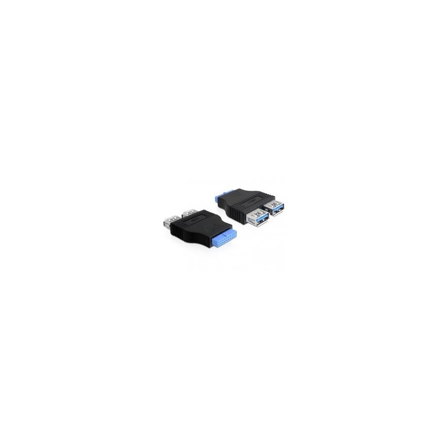 Delock conversor para placa a 2 puertos usb3.0