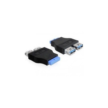 Delock conversor para placa a 2 puertos usb3.0