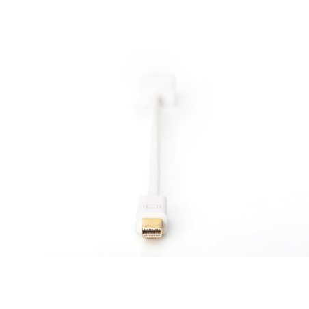 Digitus  adapter mini dp-hdmi typ a m/m blanco