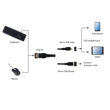 Gembird adaptador otg micro usb(m) a  micro usb y usb (h)  0.15m negro