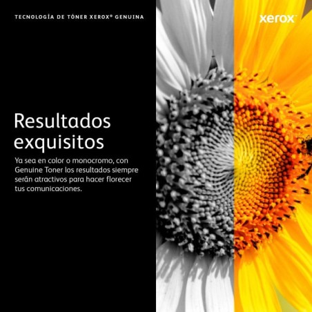 Xerox tóner cián para workcentre 7220/7225 (15.000 páginas)