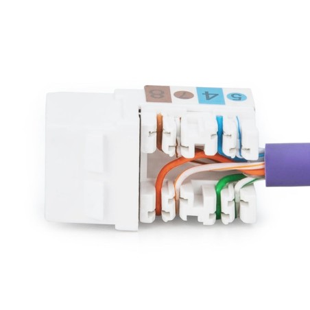 Digitus conector keystone cat 6 jack dn-93601