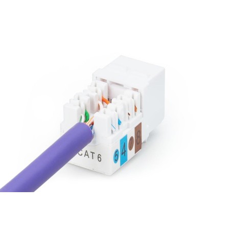 Digitus conector keystone cat 6 jack dn-93601