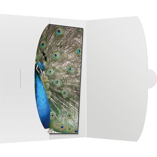 50 funda daiber 15x20 blanco