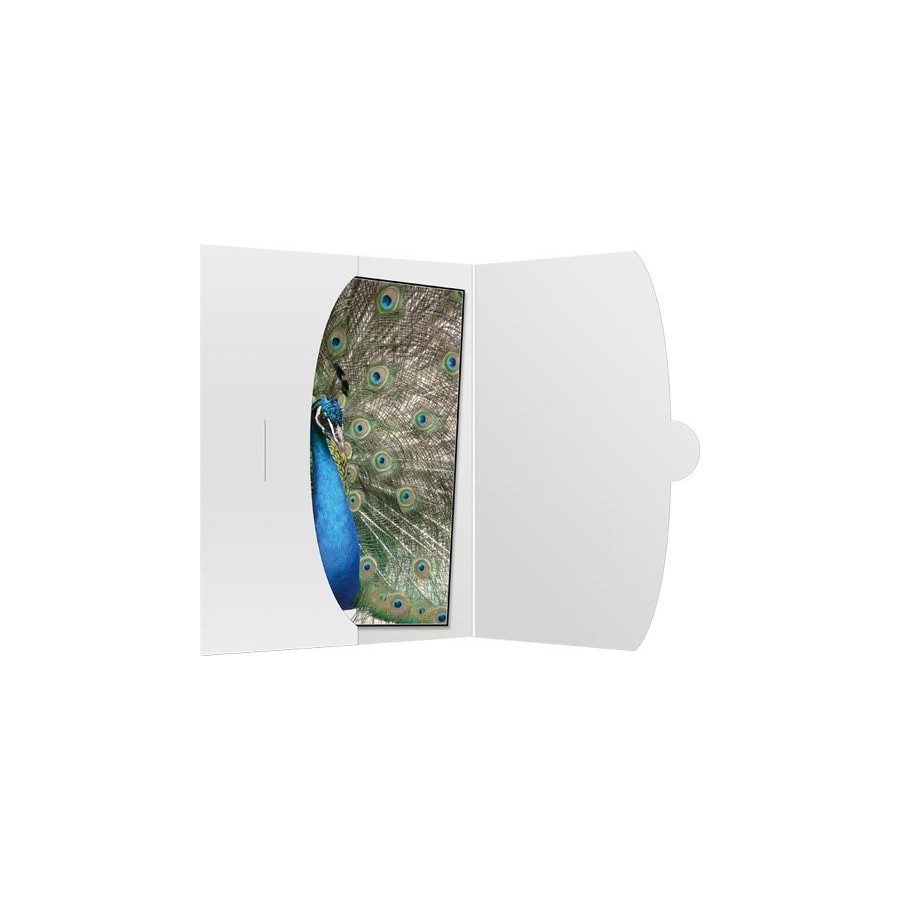 50 funda daiber 15x20 blanco