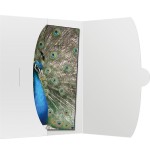 50 funda daiber 15x20 blanco