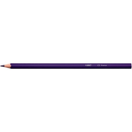 Bic lápices de colores muy vivos color up surtidos - caja de 24 -