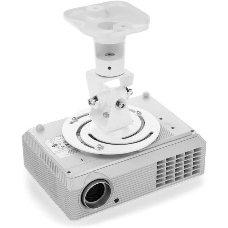 Techly ica-pm 100wh montaje para projector techo blanco