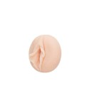 Fleshlight girls - brandi love vagina