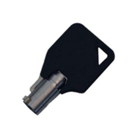 Mobilis master key for corporate twin security lock