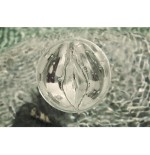 Fleshlight - ice lady cristal vagina