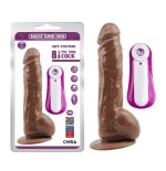 Vibrador jeff stryker 8.9 marron