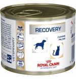 Royal canin vet recovery canine alimento húmedo para felinos - 195 g