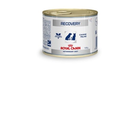 Royal canin vet recovery canine alimento húmedo para felinos - 195 g