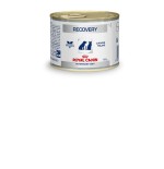 Royal canin vet recovery canine alimento húmedo para felinos - 195 g