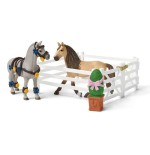 Schleich horse club grosse pferdeshow