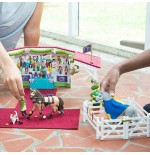 Schleich horse club grosse pferdeshow