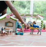 Schleich horse club grosse pferdeshow