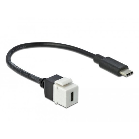 Adap delock keystone usb 3.0 c to usb 3.0 c mit cable