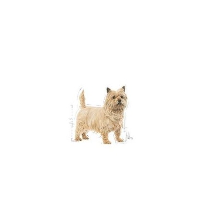 Royal canin mini light weight care - sucha karma dla psów doroslych ras malych do 10 kg, od 10 miesiaca, z nadwaga - 3kg