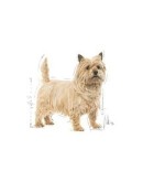 Royal canin mini light weight care - sucha karma dla psów doroslych ras malych do 10 kg, od 10 miesiaca, z nadwaga - 3kg