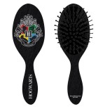 Cepillo cabello hogwarts harry potter