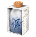 Botella cristal harry potter 620ml