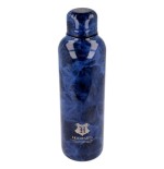 Botella acero inoxidable harry potter 515ml