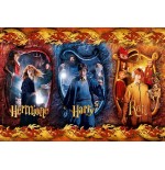 Puzzle harry, ron y hermione harry potter 104pz