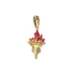 Colgante charm orden del fenix harry potter