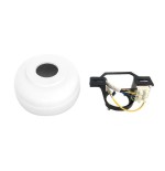 Floron para ref.33806