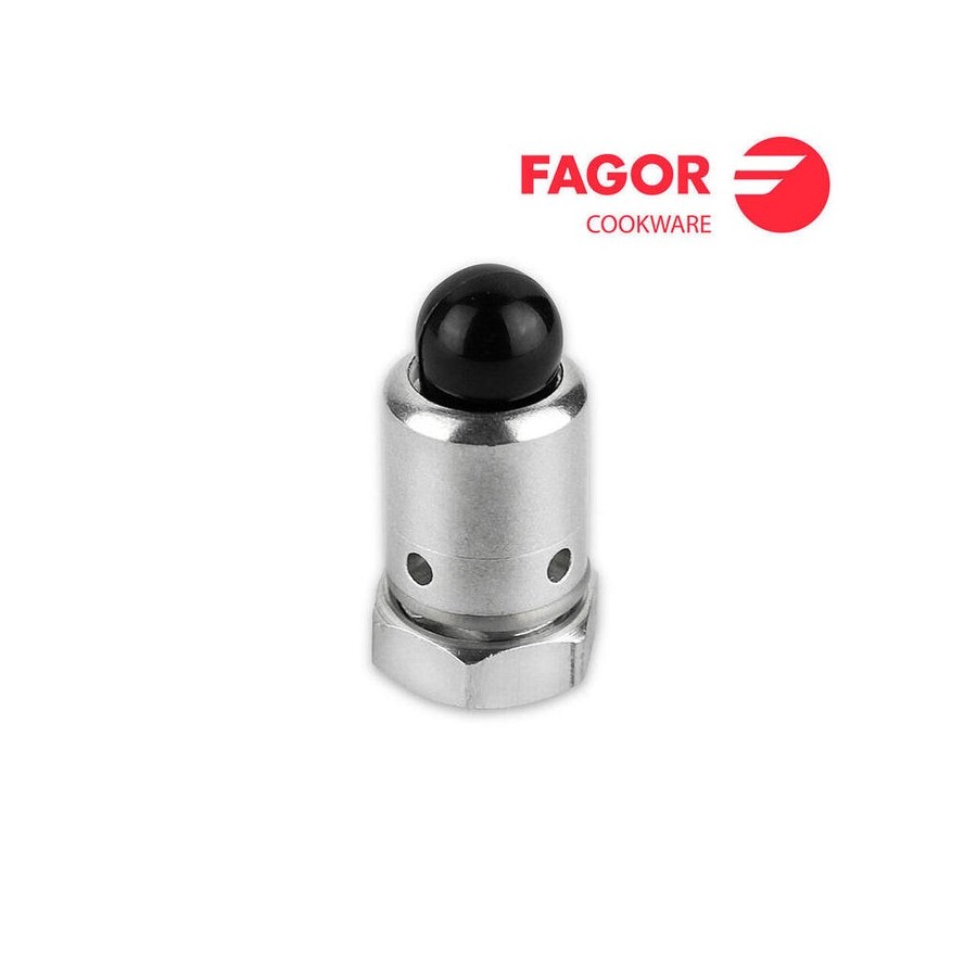 Recambio chimenea chef para modelo extremen fagor