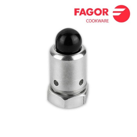 Recambio chimenea chef para modelo extremen fagor