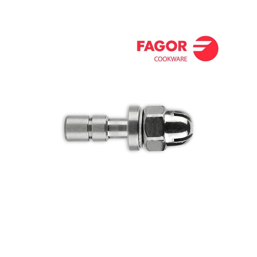 Recambio chimenea para modelo clasica 4l/6l/8l/10l fagor