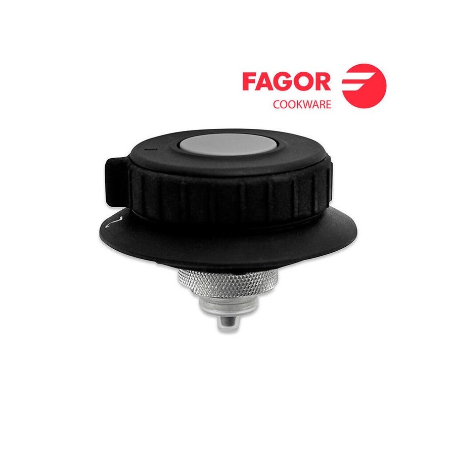 Recambio valvula de trabajo 4l/6l/8l para modelo dual xpress fagor